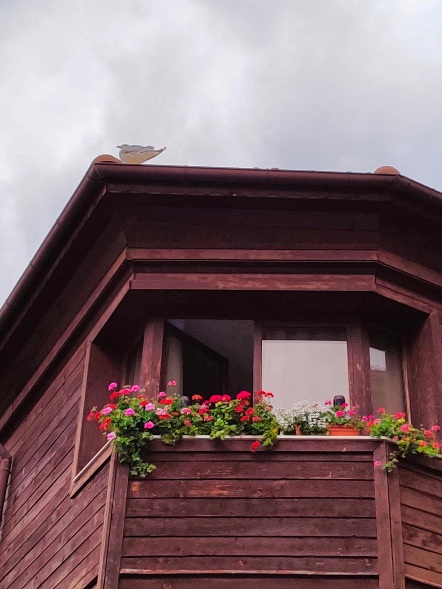 Guest Rooms Melsambria Nesebar Exteriör bild
